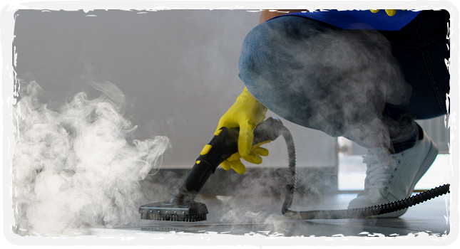 Carpet Cleaning